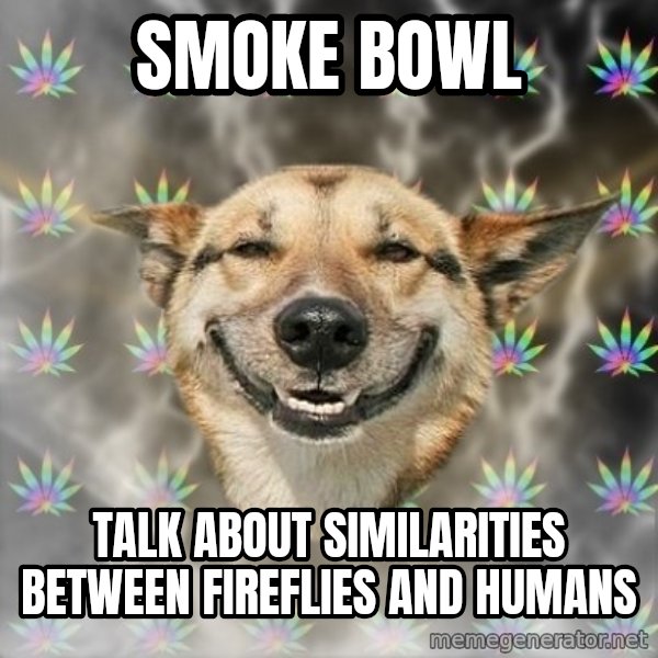 Stoner Dog meme: Smoke Bowl / talk about similarities between fireflies and humans