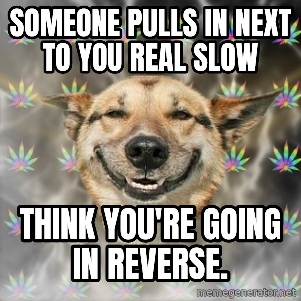 Stoner Dog meme: someone pulls in next to you real slow / think you're going in reverse.
