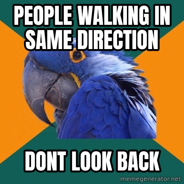 Paranoid Parrot meme: people walking in same direction / dont look back