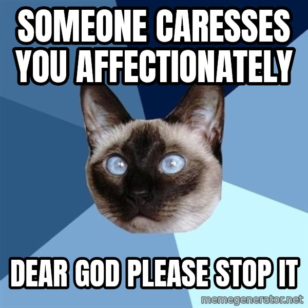 Chronic Illness Cat meme: someone caresses you affectionately / DEAR GOD PLEASE STOP IT