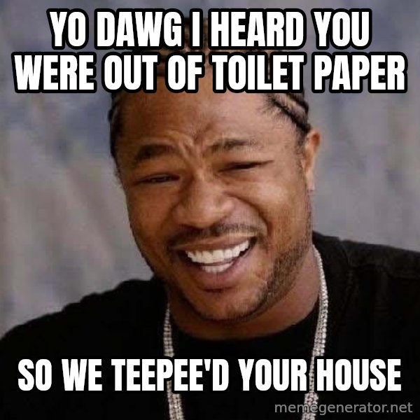 Yo Dawg meme: YO DAWG I HEARD YOU WERE OUT OF TOILET PAPER / SO WE TEEPEE'D YOUR HOUSE