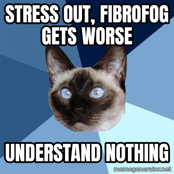 Chronic Illness Cat meme: stress out, fibrofog gets worse / understand nothing