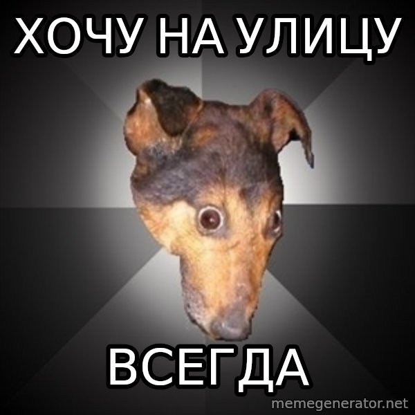 Depression Dog meme: Хочу на улицу / всегда