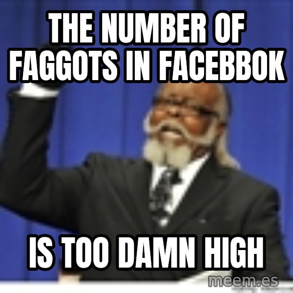 Too high meme: the number of faggots in facebbok / is too damn high