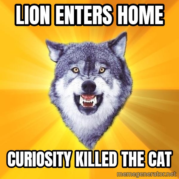 Courage Wolf meme: LION ENTERS HOME / CURIOSITY KILLED THE CAT