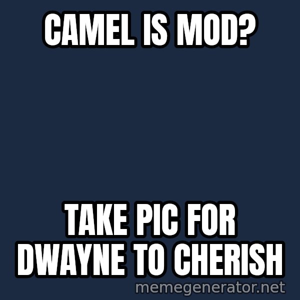 Typical Hockey Player meme: camel is mod? / take pic for dwayne to cherish