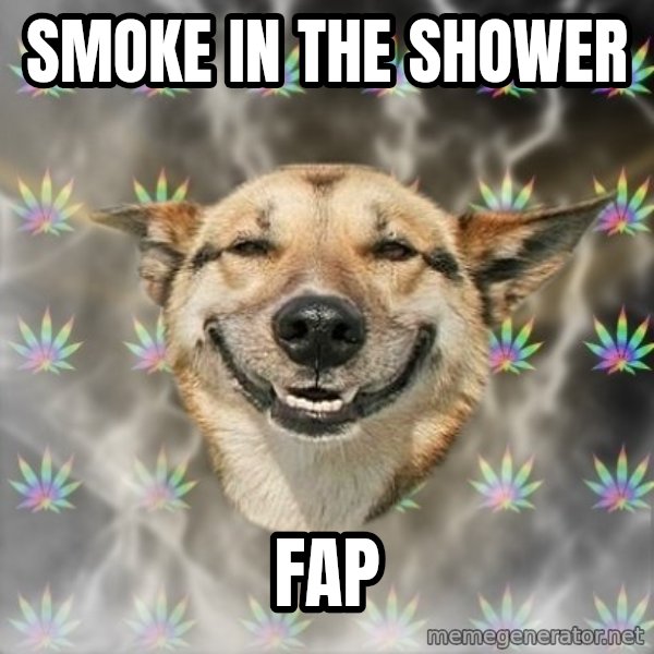 Stoner Dog meme: smoke in the shower / fap