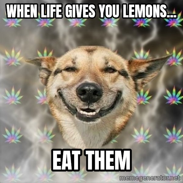 Stoner Dog meme: when life gives you lemons... / eat them