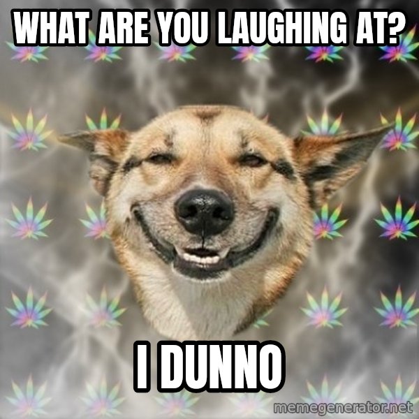Stoner Dog meme: what are you laughing at? / i dunno