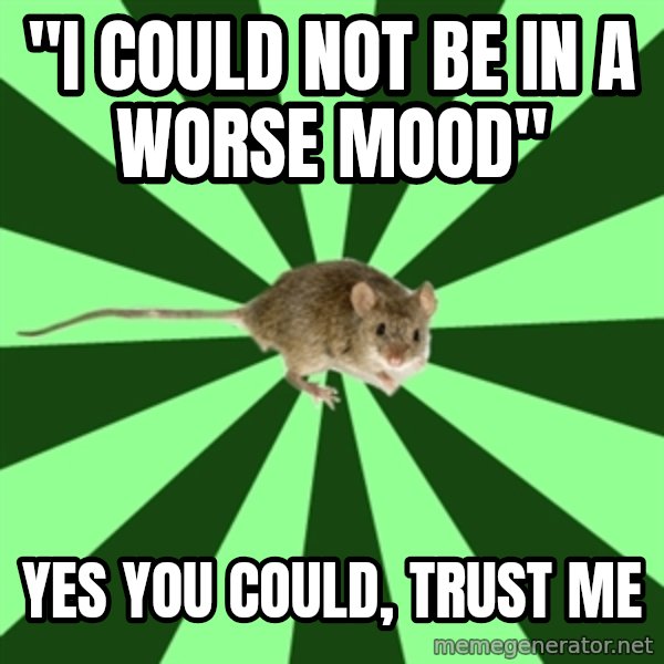 Mental Illness Mouse meme: "I COULD NOT BE IN A WORSE MOOD" / YES YOU COULD, TRUST ME
