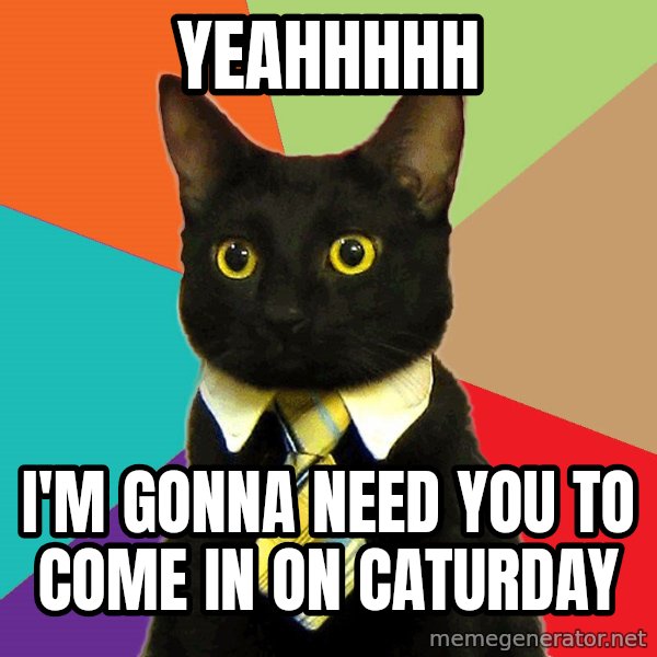 Business Cat meme: yeahhhhh / I'm gonna need you to come in on caturday