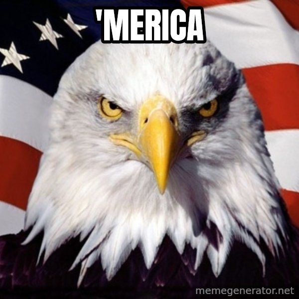 American Pride Eagle meme: 'MERICA