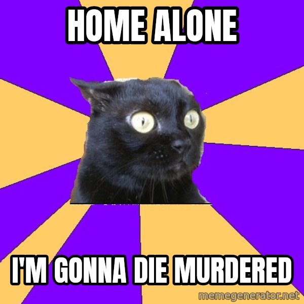 Anxiety Cat meme: Home Alone / I'm gonna die murdered