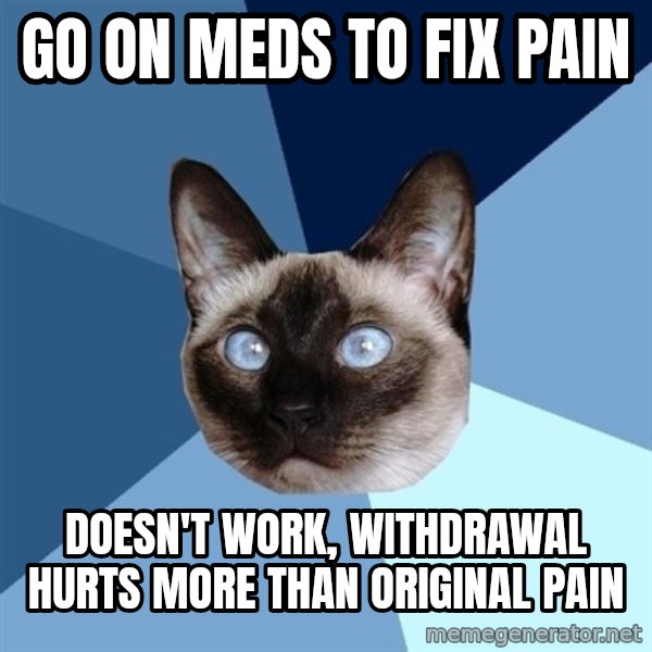 Chronic Illness Cat meme: Go on meds to fix pain / doesn't work, withdrawal hurts more than original pain