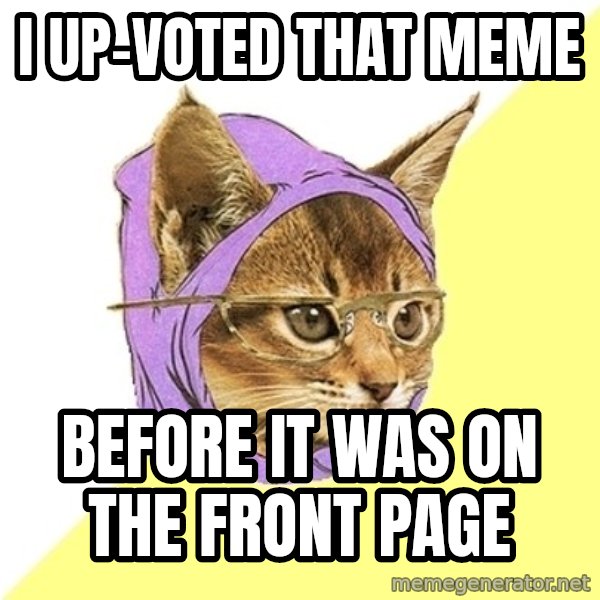 Hipster Kitty meme: I up-voted that meme / before it was on the front page