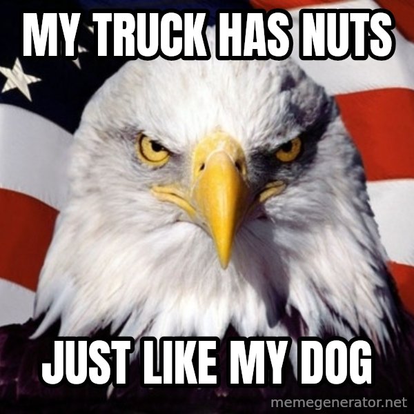 American Pride Eagle meme: my truck has nuts / just like my dog