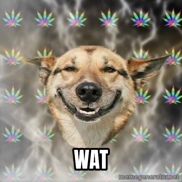 Stoner Dog meme: wat