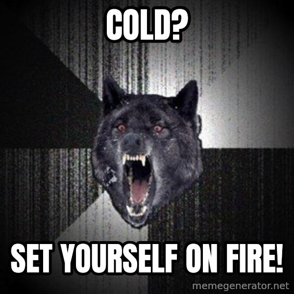 Insanity Wolf meme: Cold? / Set yourself on fire!