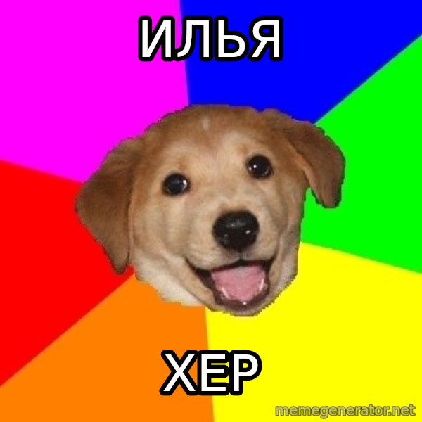 Advice Dog meme: ИЛЬЯ / ХЕР