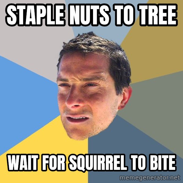 Bear Grylls meme: staple nuts to tree / wait for SQUIRREL to bite