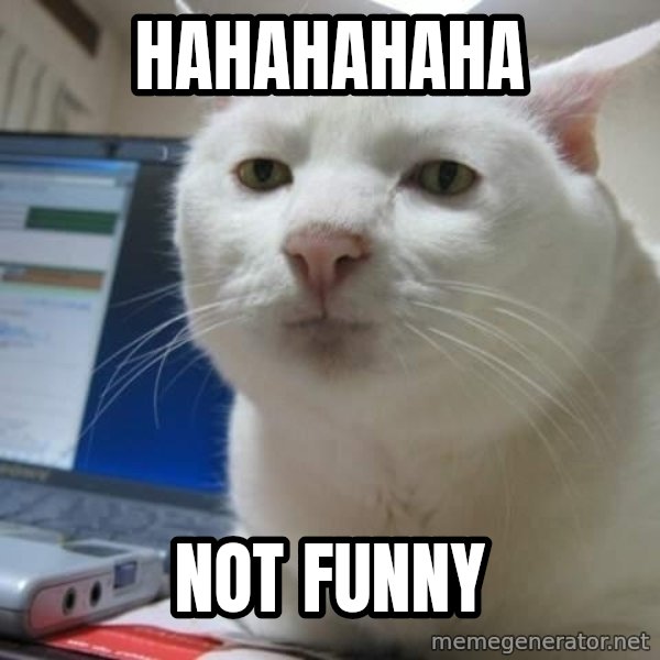 Serious Cat meme: HAHAHAHAHA / NOT FUNNY