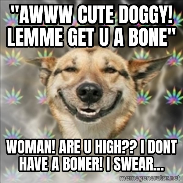Original Stoner Dog meme: "Awww cute doggy! lemme get u a bone" / Woman! are u high?? I dont have a boner! I swear...