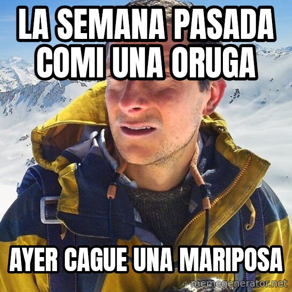 Bear Grylls Loneliness meme: la semana pasada comi una oruga / ayer cague una mariposa