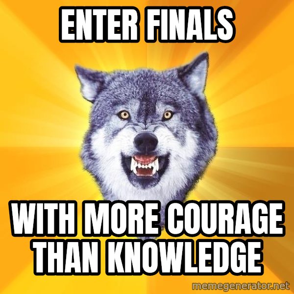 Courage Wolf meme: Enter Finals / with more courage than knowledge