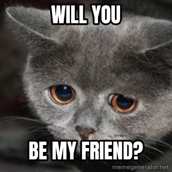 Sadcat meme: will you / be my friend?