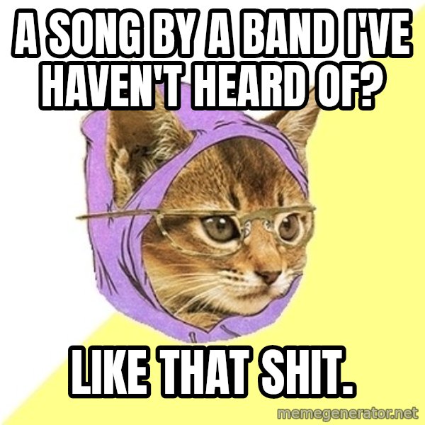 Hipster Kitty meme: A song by a band I've haven't heard of? / Like that shit.