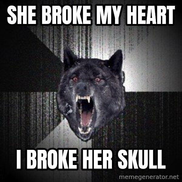 Insanity Wolf meme: She broke my heart / I broke her skull