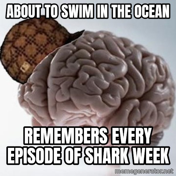 Scumbag Brain meme: About to swim in the ocean / remembers every episode of shark week