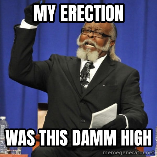 Rent Is Too Damn High meme: My erection / was this damm high