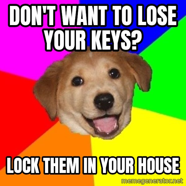 Advice Dog meme: Don't want to lose your keys? / lock them in your house