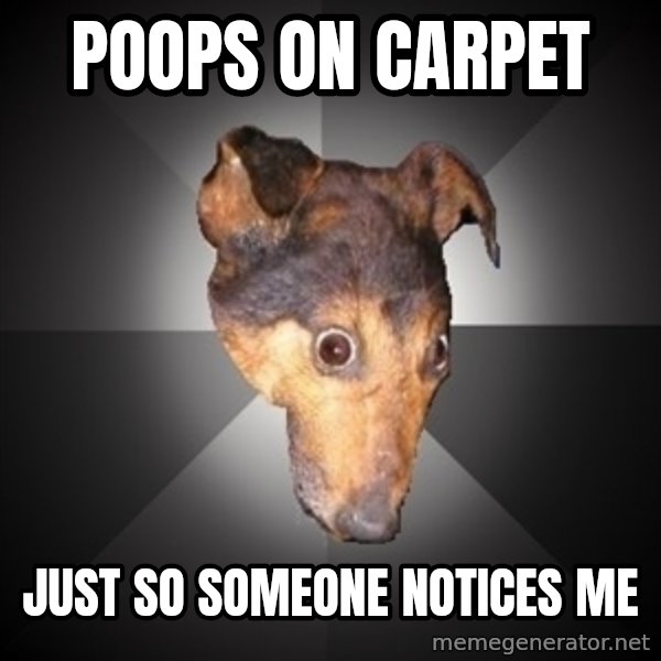 Depression Dog meme: poops on carpet / just so someone notices me