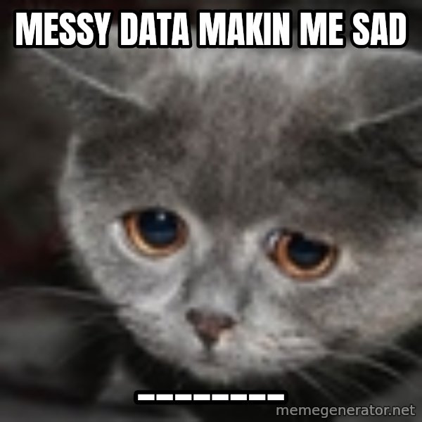 sad cat meme: Messy data makin me sad / ________