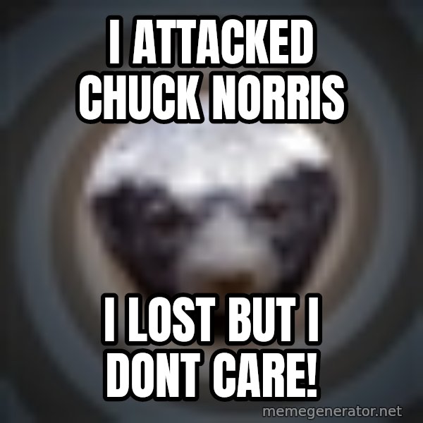 Fearless Honeybadger meme: I attacked chuck norris / i lost but i dont care!