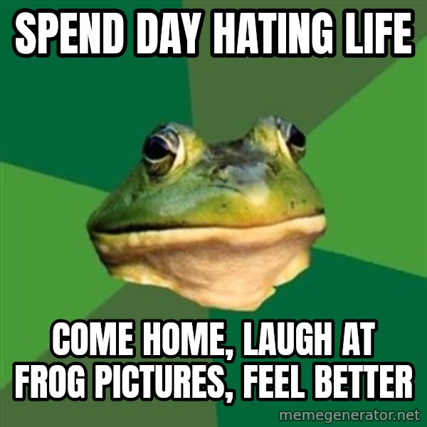 Foul Bachelor Frog meme: spend day hating life / come home, laugh at frog pictures, feel better