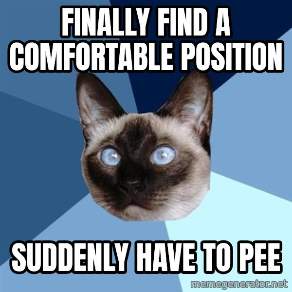 Chronic Illness Cat meme: Finally find a comfortable position / suddenly have to pee