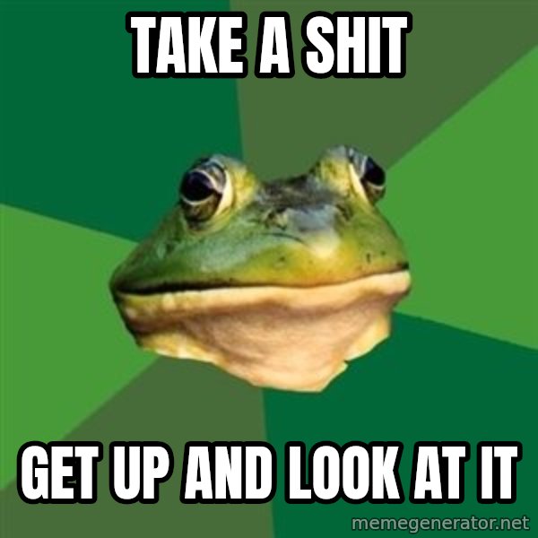 Foul Bachelor Frog meme: take a shit / get up and look at it