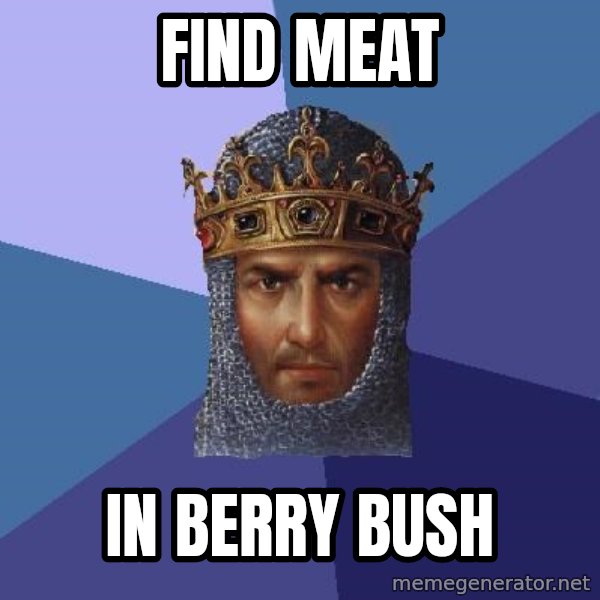 Age Of Empires meme: FIND MEAT / IN BERRY BUSH