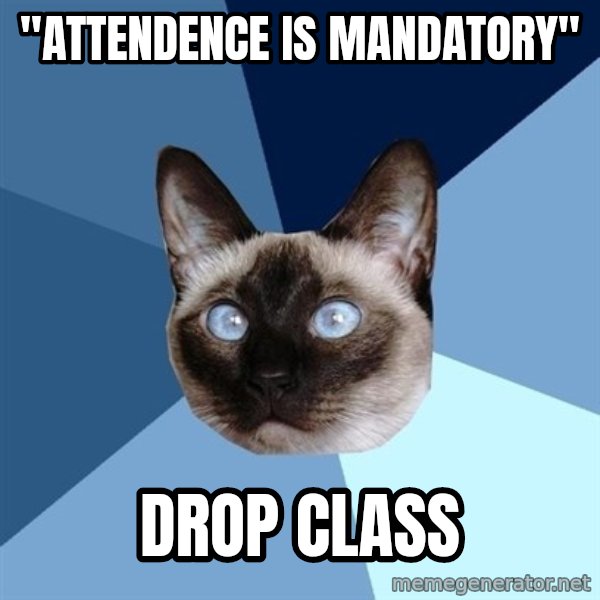 Chronic Illness Cat meme: "attendence is mandatory" / drop class
