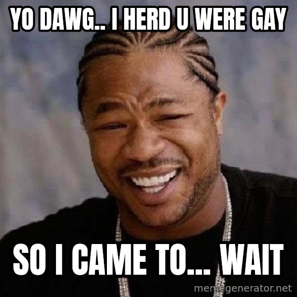 Yo Dawg meme: yo dawg.. i herd u were gay / so i came to... wait