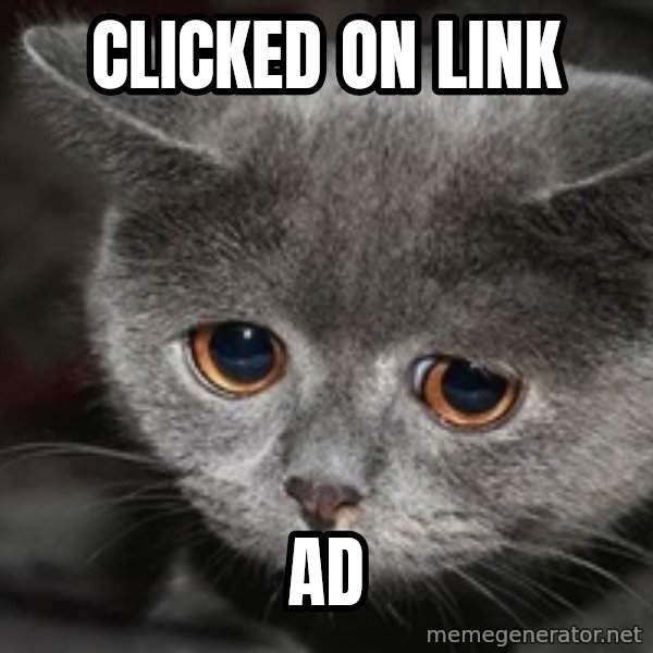 Sadcat meme: clicked on link / ad