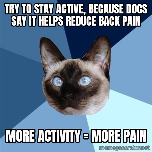 Chronic Illness Cat meme: TRY TO STAY ACTIVE, BECAUSE DOCS SAY IT HELPS REDUCE BACK PAIN / MORE ACTIVITY = MORE PAIN