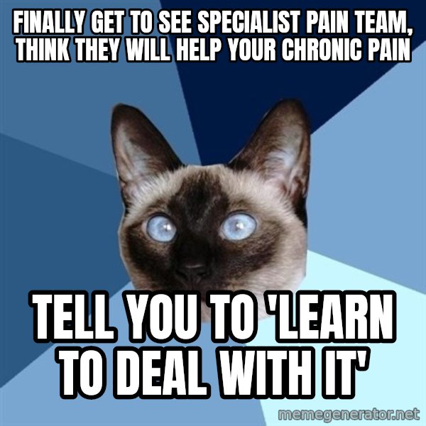 Chronic Illness Cat meme: Finally get to see SPECIALIST pain team, think they will help your chronic pain / tell you to 'learn to deal with it'