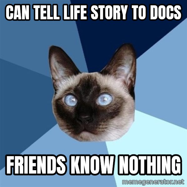 Chronic Illness Cat meme: can tell life story to docs / friends know nothing