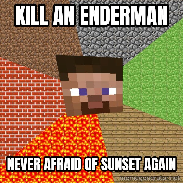 Minecraft Guy meme: kill an enderman / never afraid of sunset again