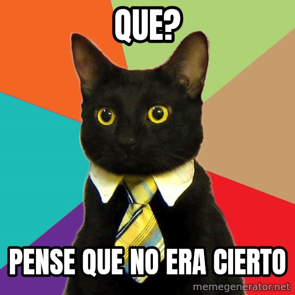 Business Cat meme: Que? / Pense que no era cierto