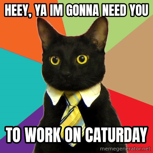Business Cat meme: Heey, ya im gonna need you / to work on caturday